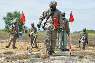 Création d’une antenne de l’association pour l’aide au déminage à Danang - ảnh 1